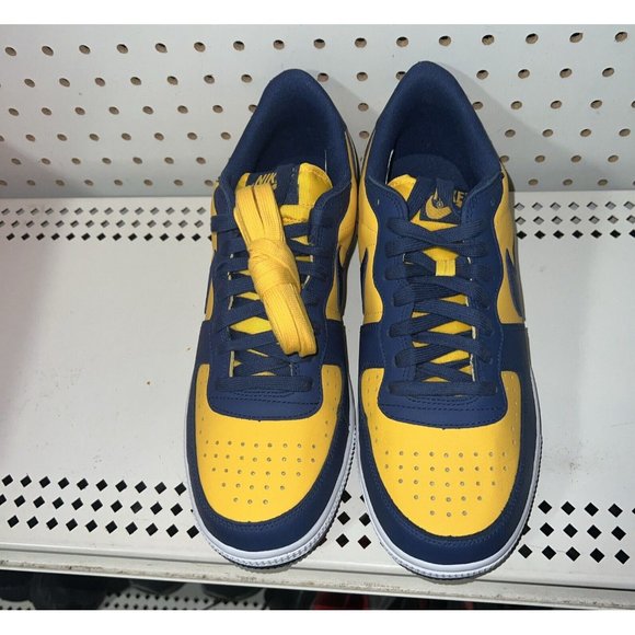 Nike Terminator Low OG Michigan Mens Leather Basketball Shoes Size 9 FJ4206-700 main image 6